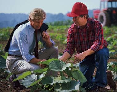 Agricultural insurances for small entrepreneurs