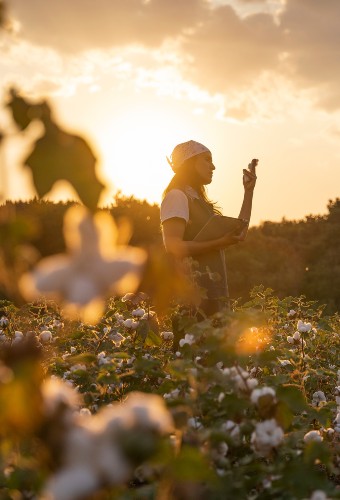 Agricultural season loan