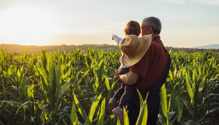 AGRI PJ Credite de achizitie teren agricol