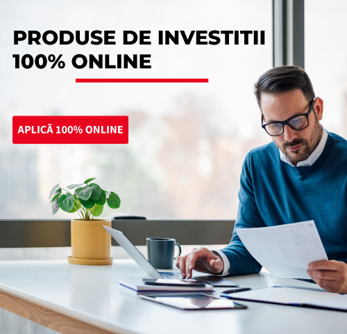 Flux Fonduri de Investitii