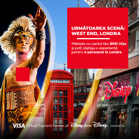 Usage Carduri Zi de Zi - Visa West End London